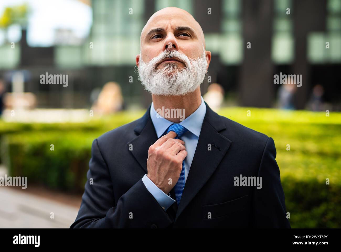 Mature bald stylish business man portrait with a white beard outdoor adjusting his necktie Stock Photo