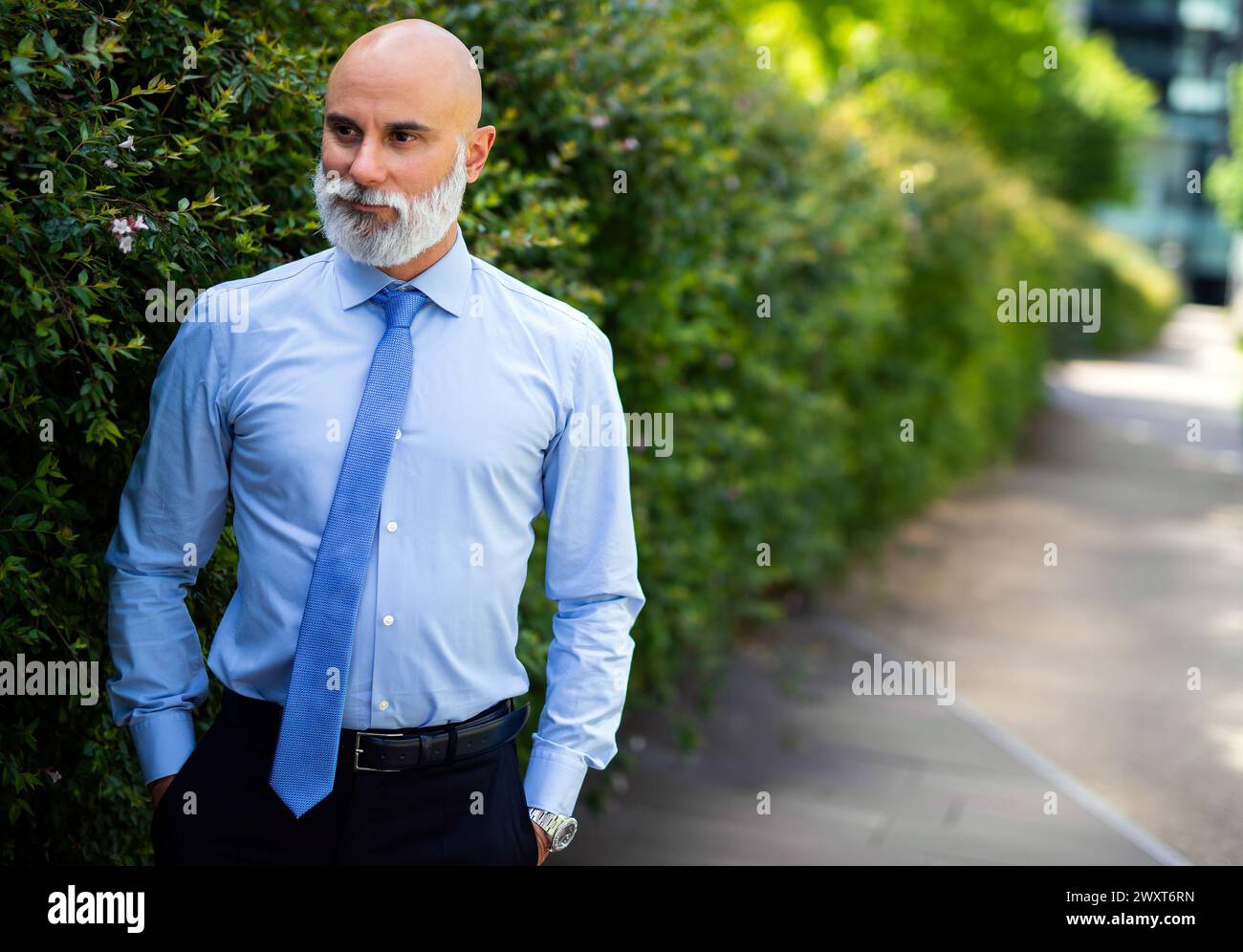 Mature bald stylish business man portrait with a white beard outdoor in a green city Stock Photo