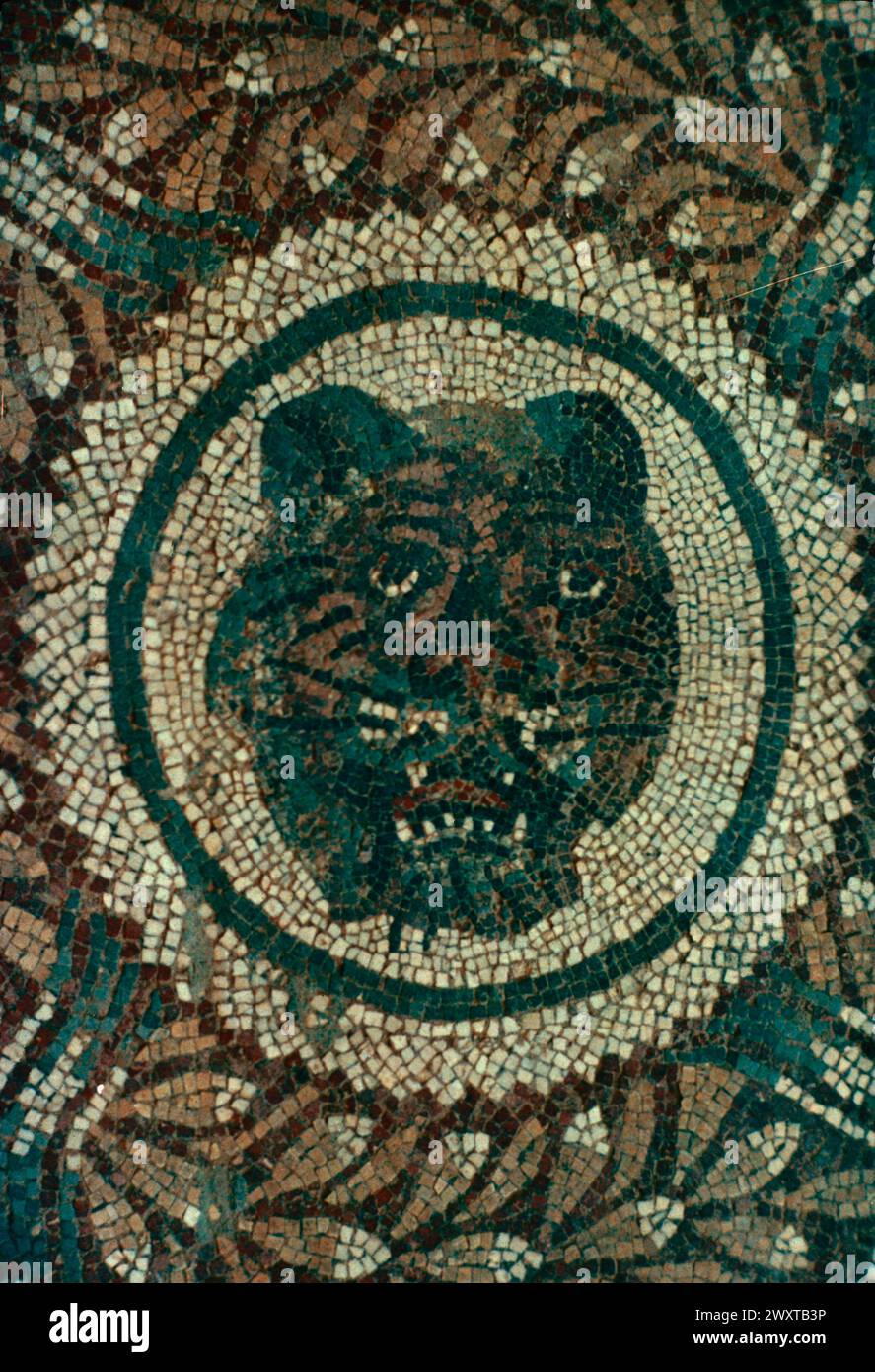 Lion's head, ancient Roman mosaic floor, Piazza Armerina, Sicily 300 AD Stock Photo