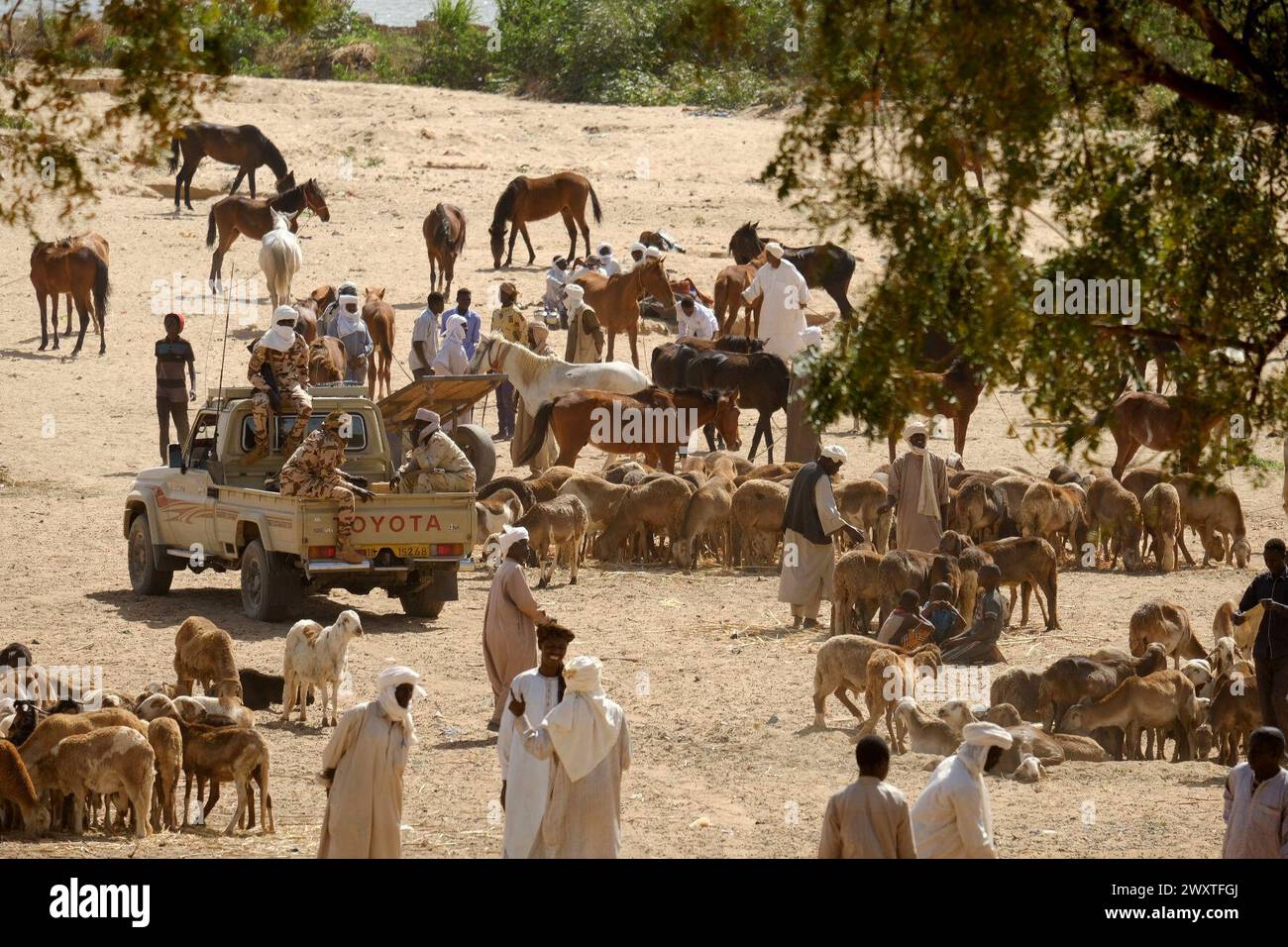 ©DAVID ALLIGNON/MAXPPP - MARS 2024 -  Dans un camp au Tchad où des réfugiés du Darfour sont pris en charge. Adré soldats armée Tchadienne  030324    March 2024 Chad, Darfur refugees Stock Photo