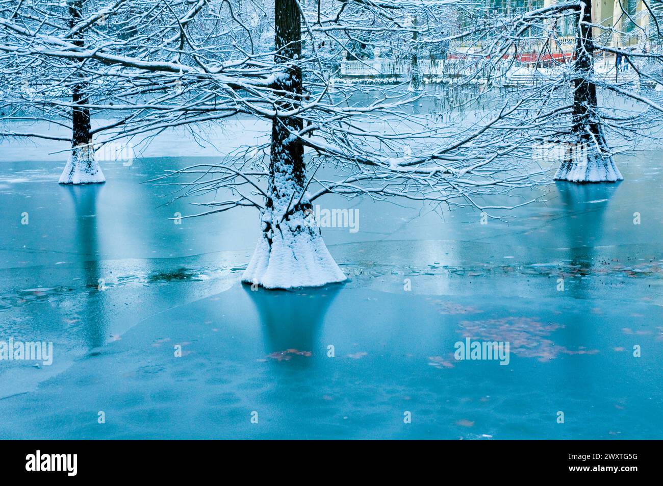 Frozen over pond, Cristal Palace. El Retiro park, Madrid, Spain. Stock Photo
