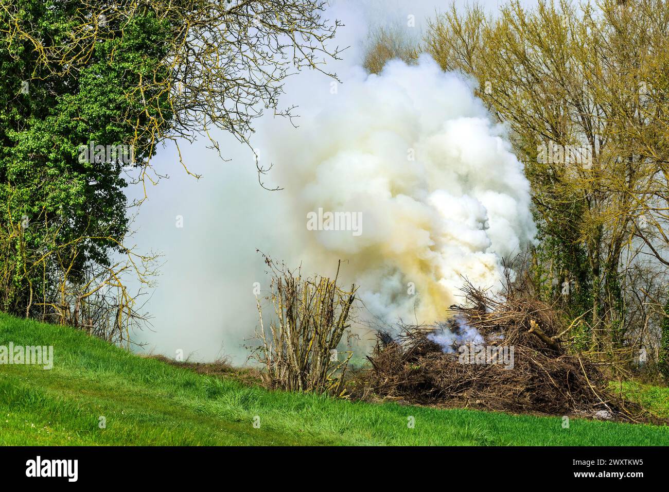 Waste tree branches being burned on farmland with lot of white smoke - central France. Stock Photo
