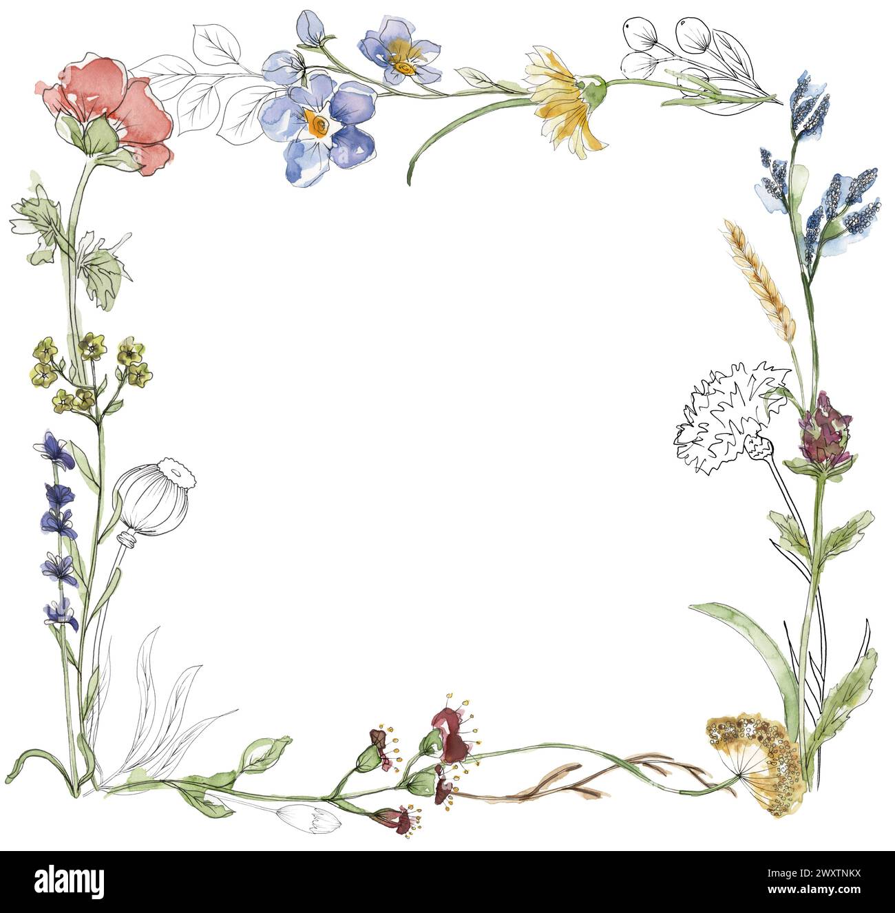 Watercolor wildflowers wreath illustration, meadow flowers frame ...