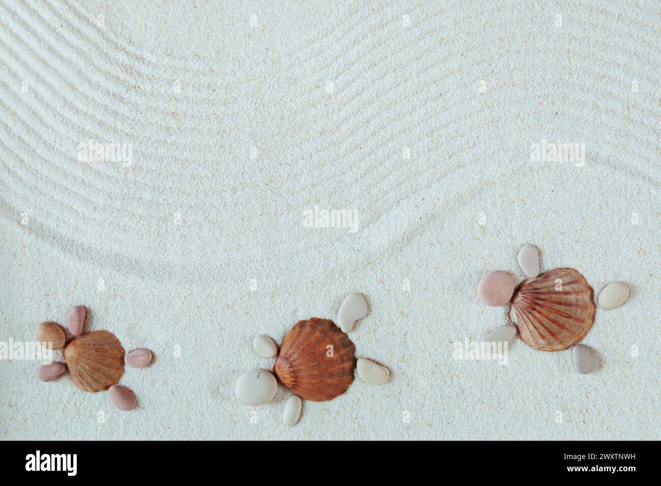 Turtle Shells Sand Sandy beach texture. Turtles made from shells and pebbles. Natural ...