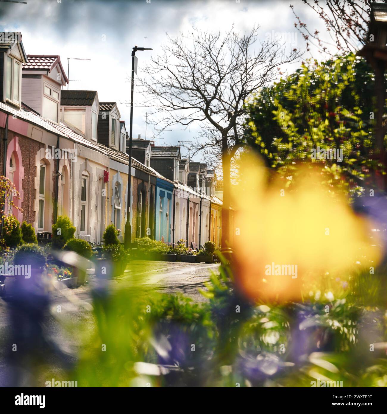 Pretty painted houses on Simpson Street in Cullercoats, North Tyneside
