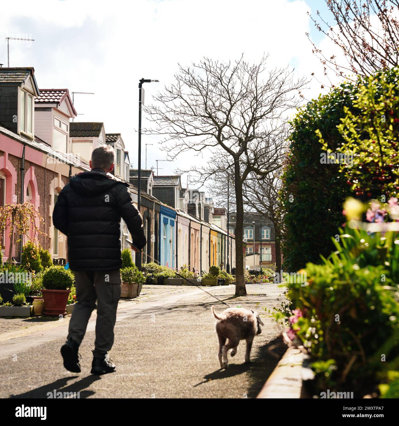 A man walking his dog down a Pretty painted houses on Simpson Street in