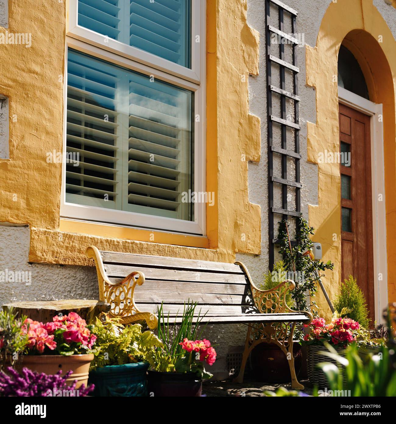 Pretty painted houses on Simpson Street in Cullercoats, North Tyneside