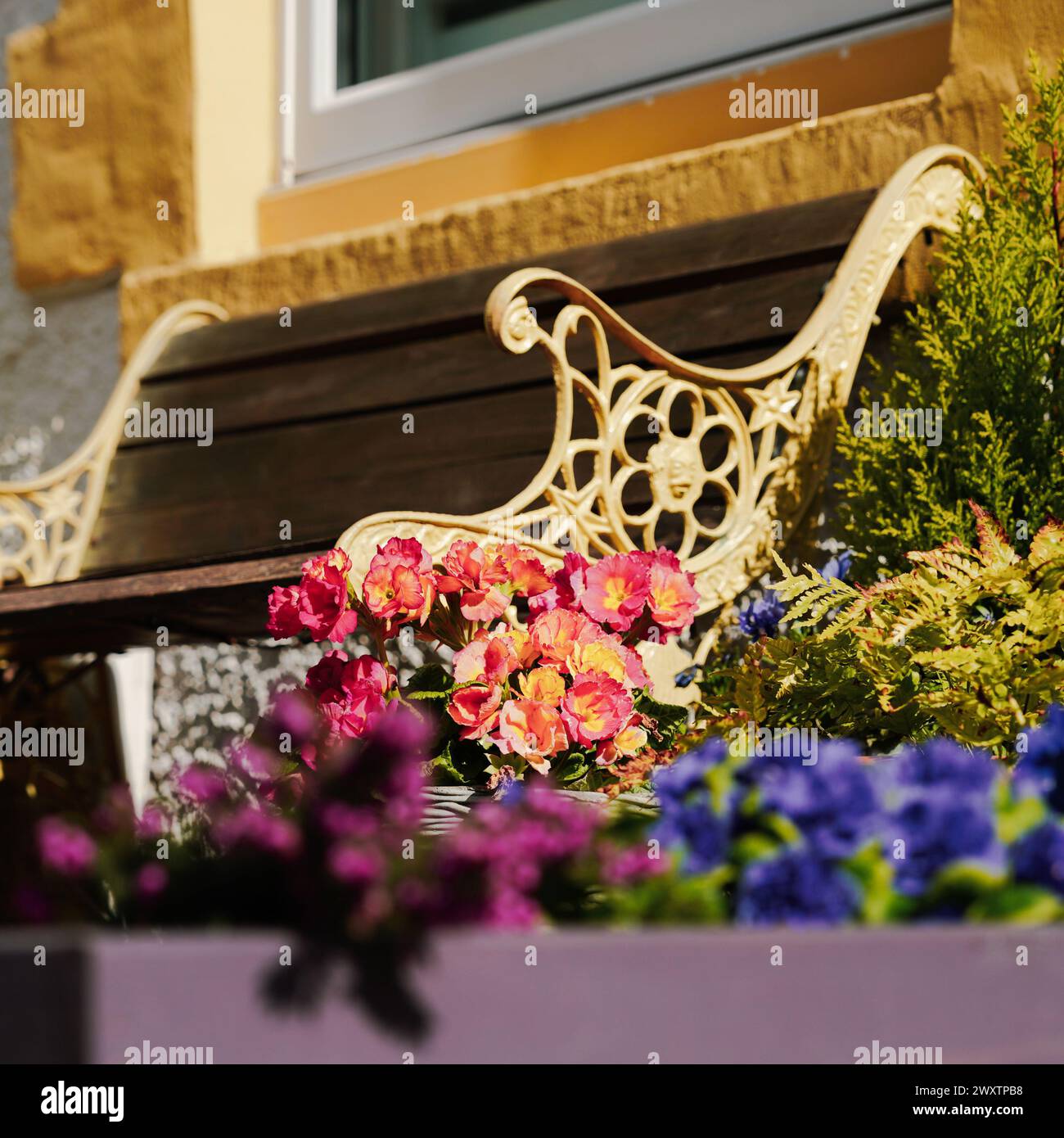 Pretty painted houses on Simpson Street in Cullercoats, North Tyneside