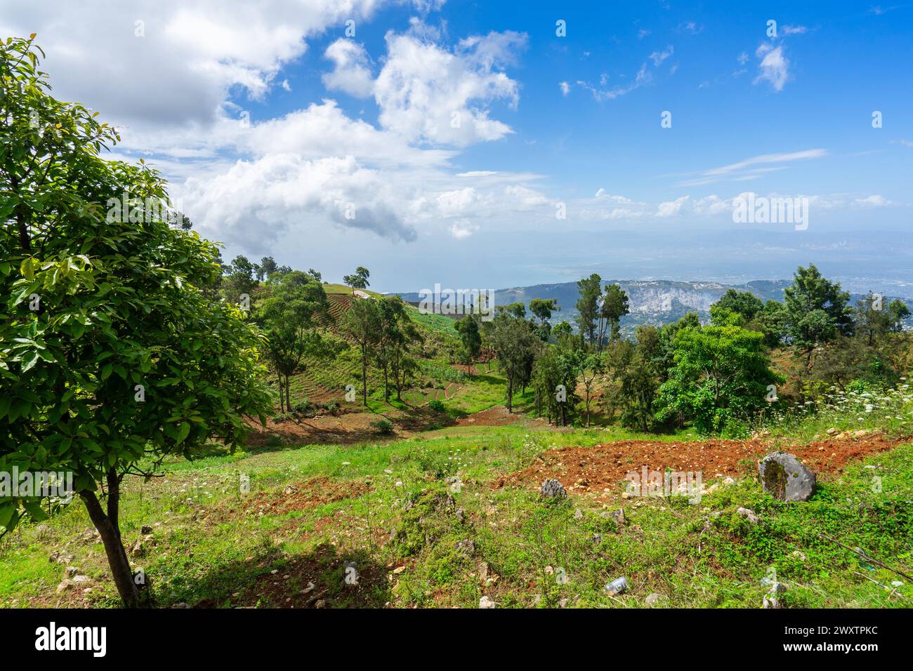 Port-Au-Prince vibrant countryside Stock Photo
