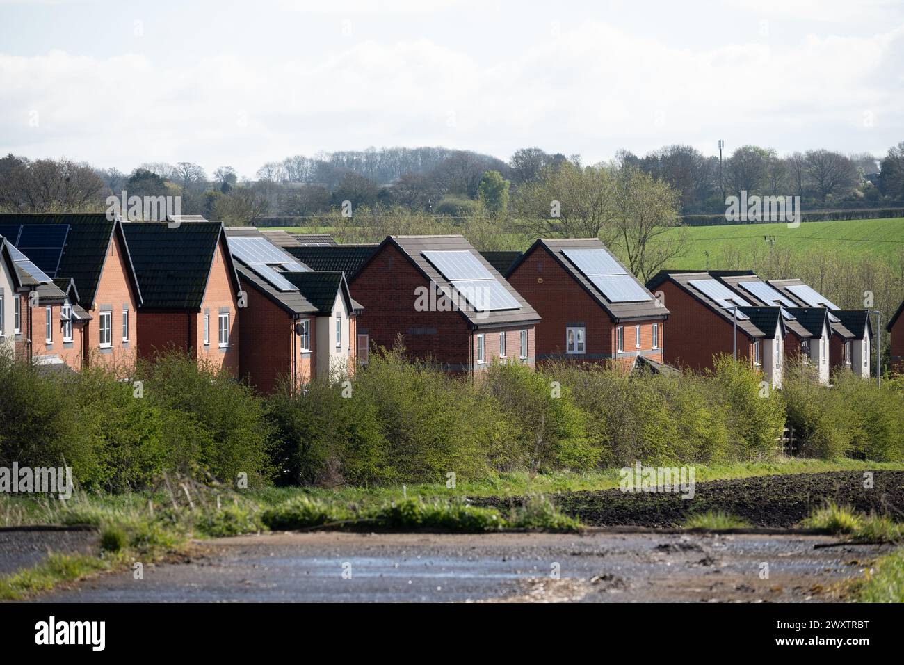 New housing with solar panels, Warwickshire, England, UK Stock Photo