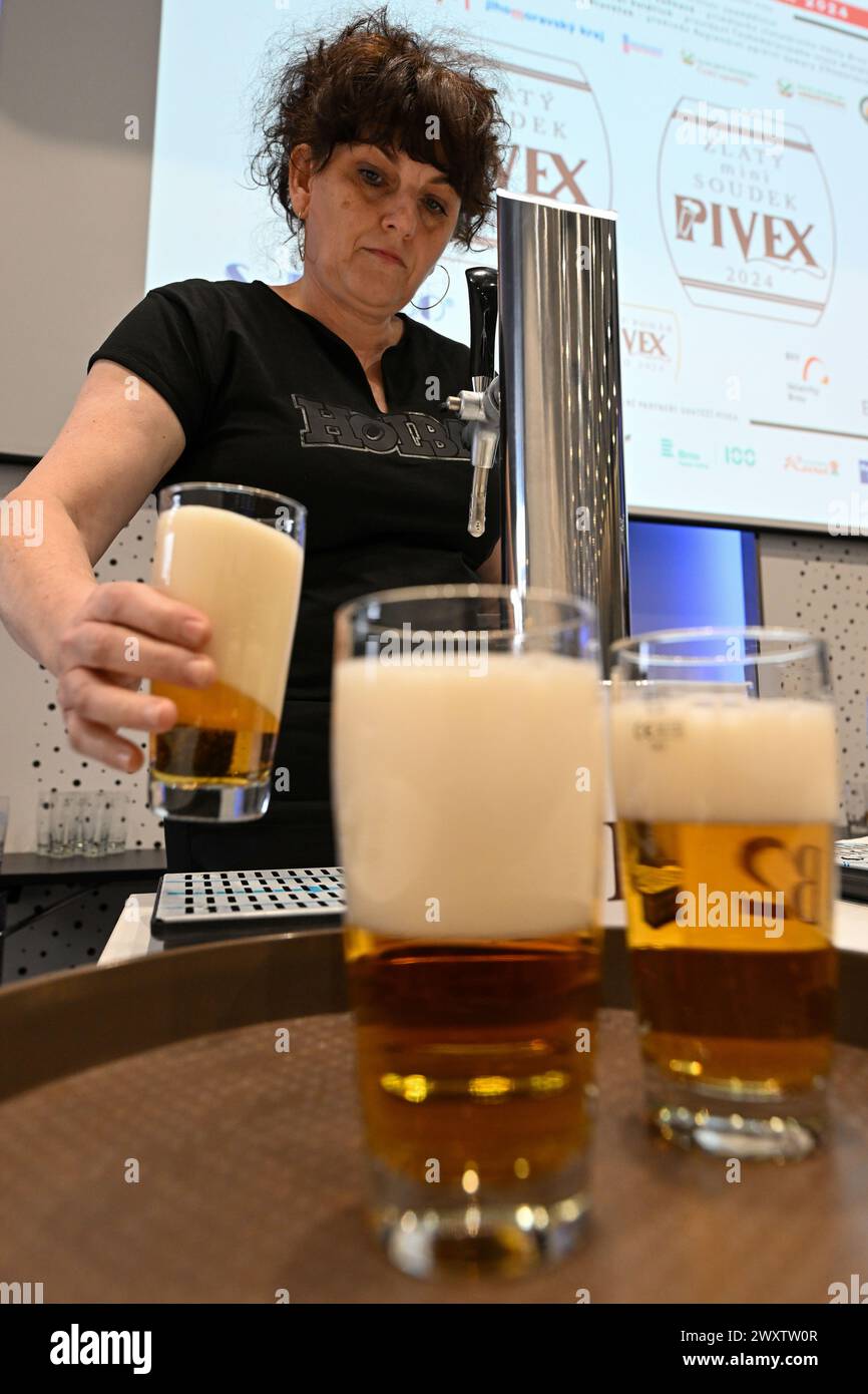 Brno, Czech Republic. 02nd Apr, 2024. Experts start beer degustation during ' Zlaty SOUDEK PIVEX 2024' (Golden Keg PIVEX 2024) competition in Brno, Czech Republic, April 2, 2024. Credit: Vaclav Salek/CTK Photo/Alamy Live News Stock Photo