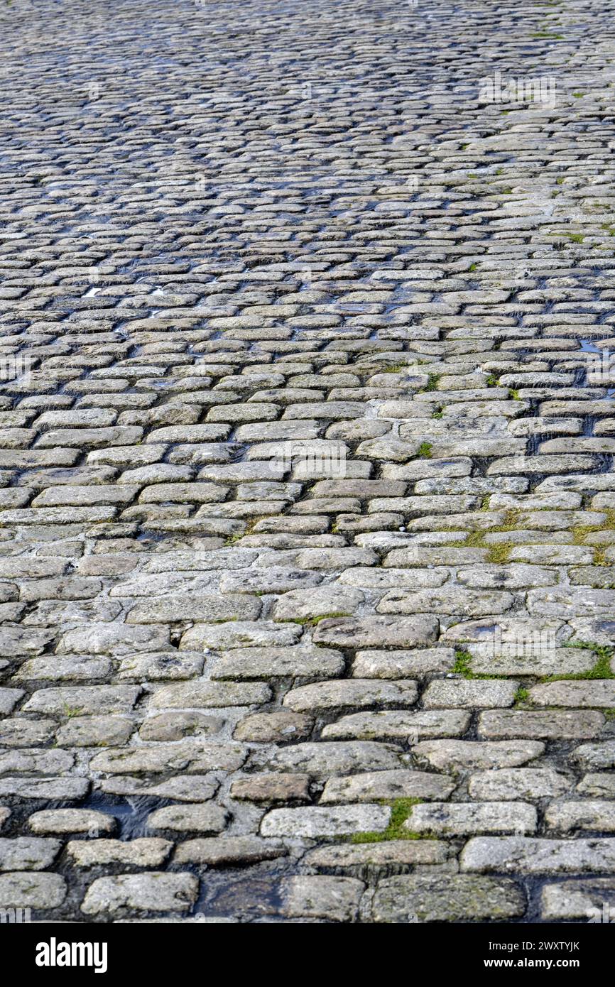 cobbled road Stock Photo