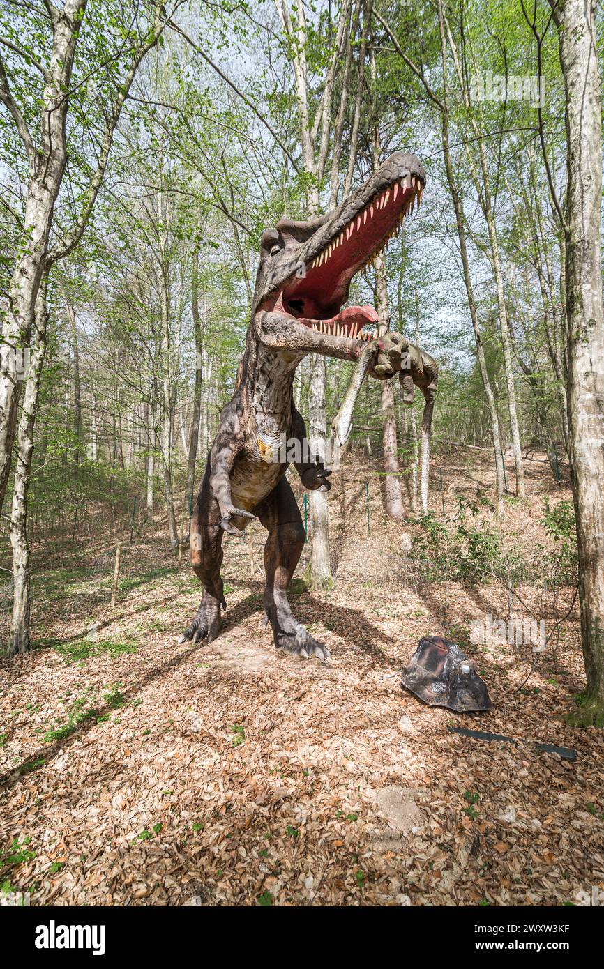 A spinosaurus in wildlife forest It's a dinosaur replica in nature Stock Photo