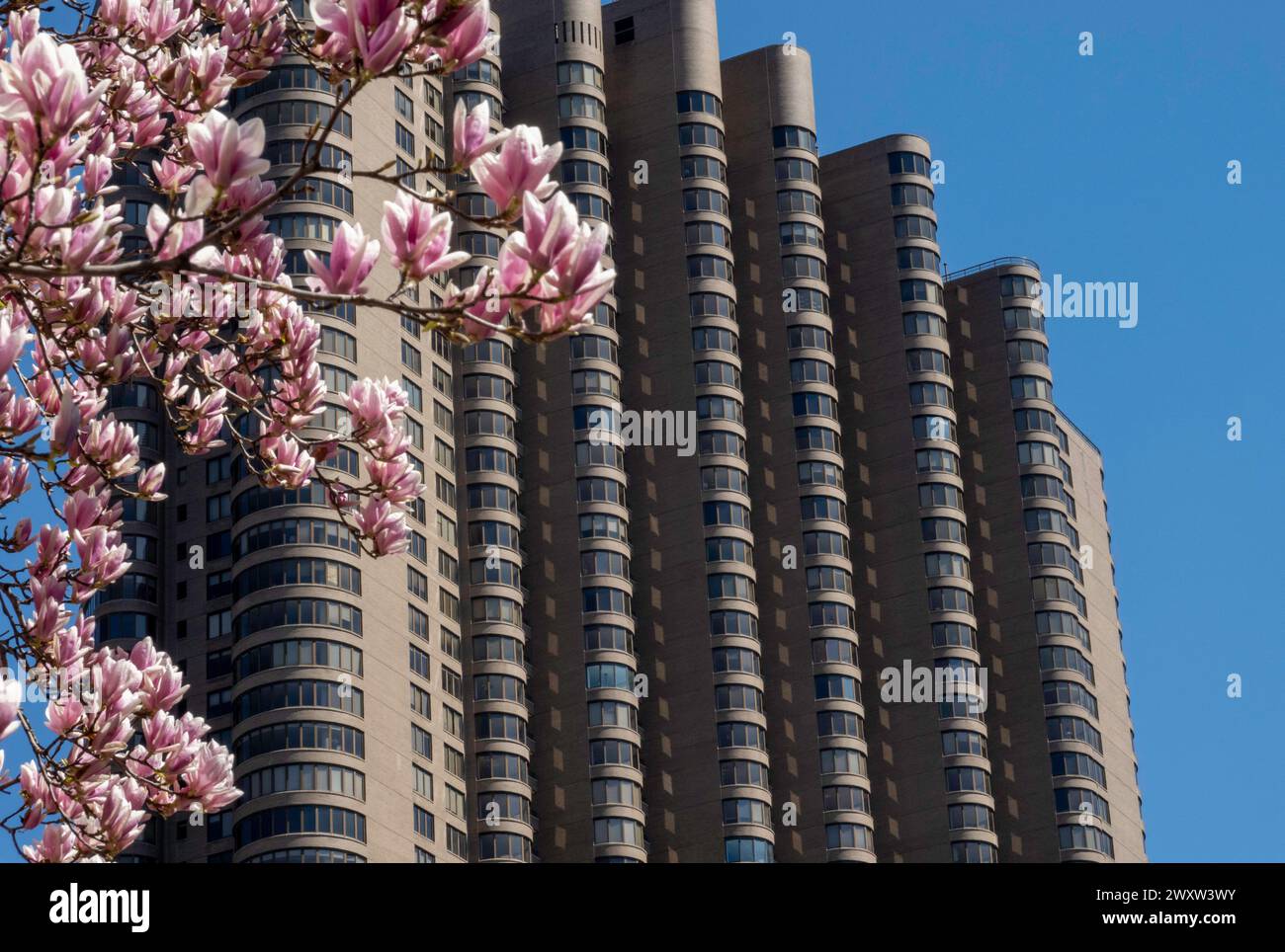 The Corinthian Apartment Building is in the Murray Hill historic