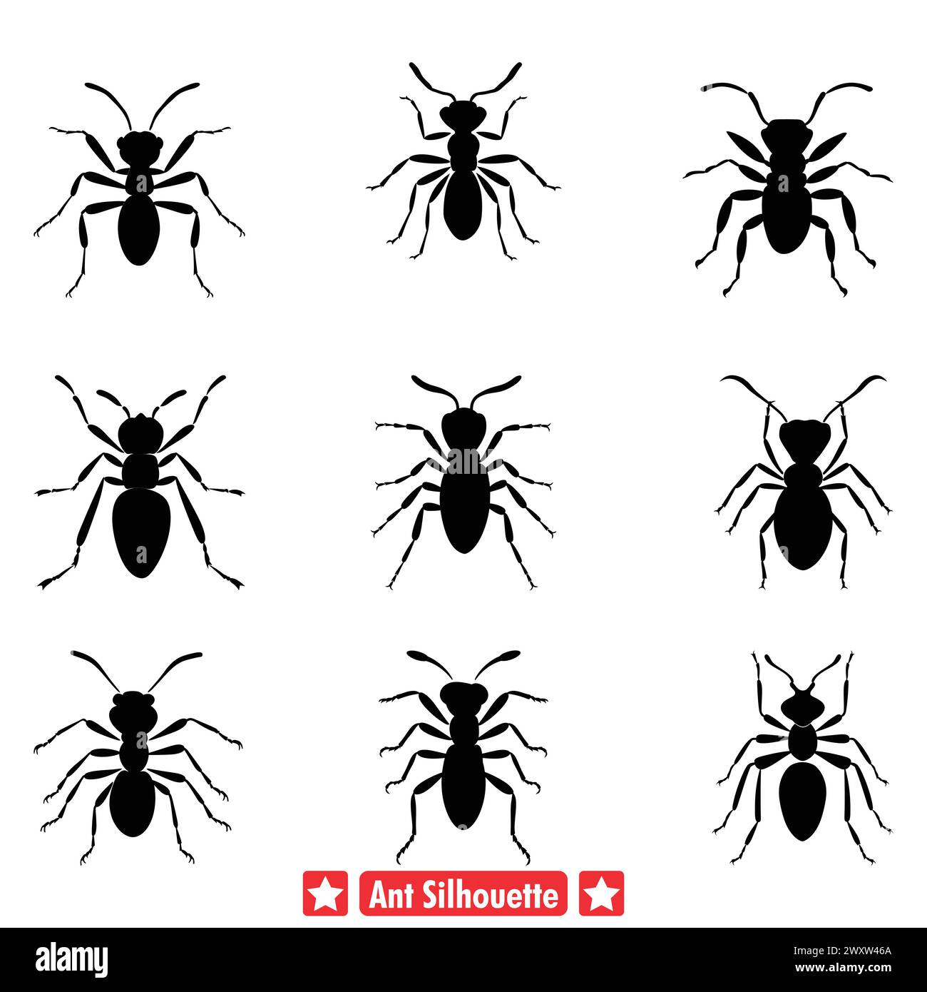 Tiny black ants Stock Vector Images - Alamy