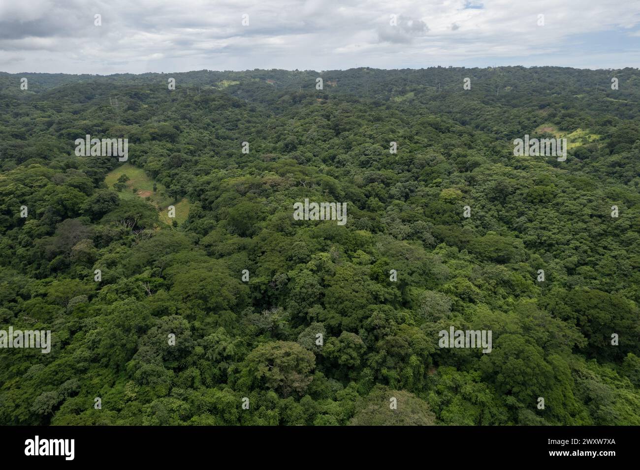 Green environment jungle background aerial drone view Stock Photo