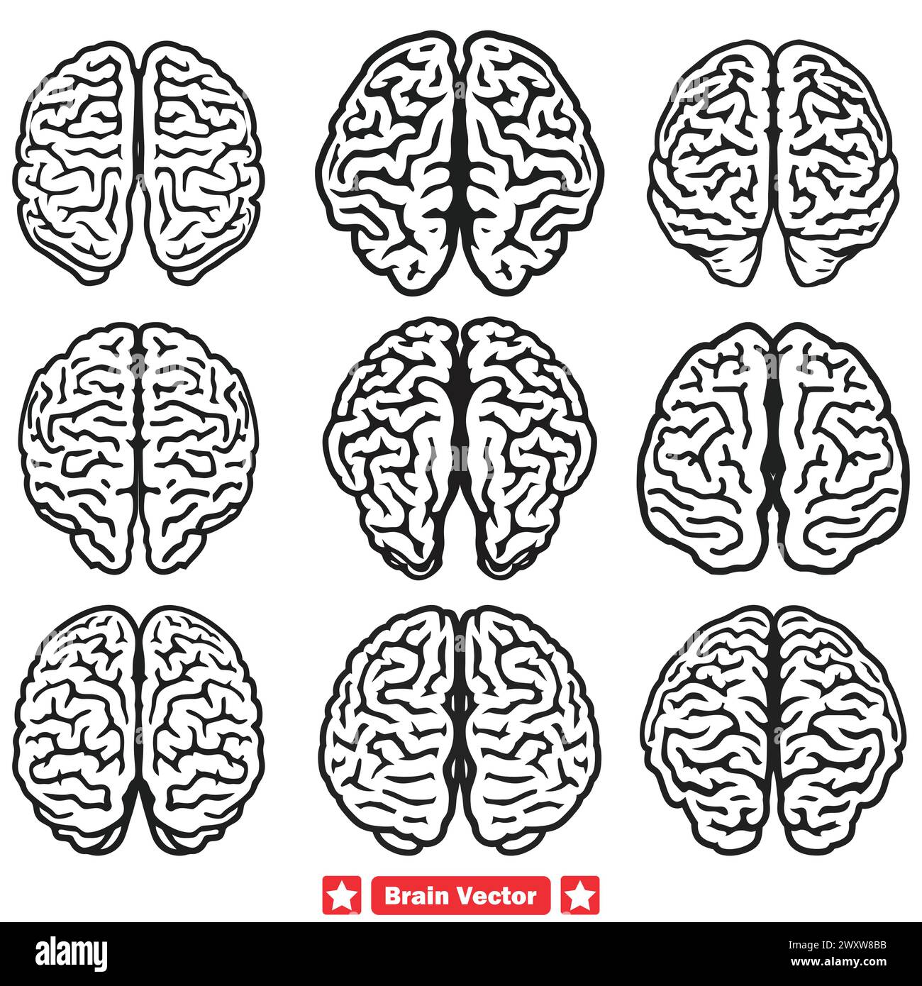 Thought Patterns Unveiled Varied Brain Vector Set for Psychiatry 