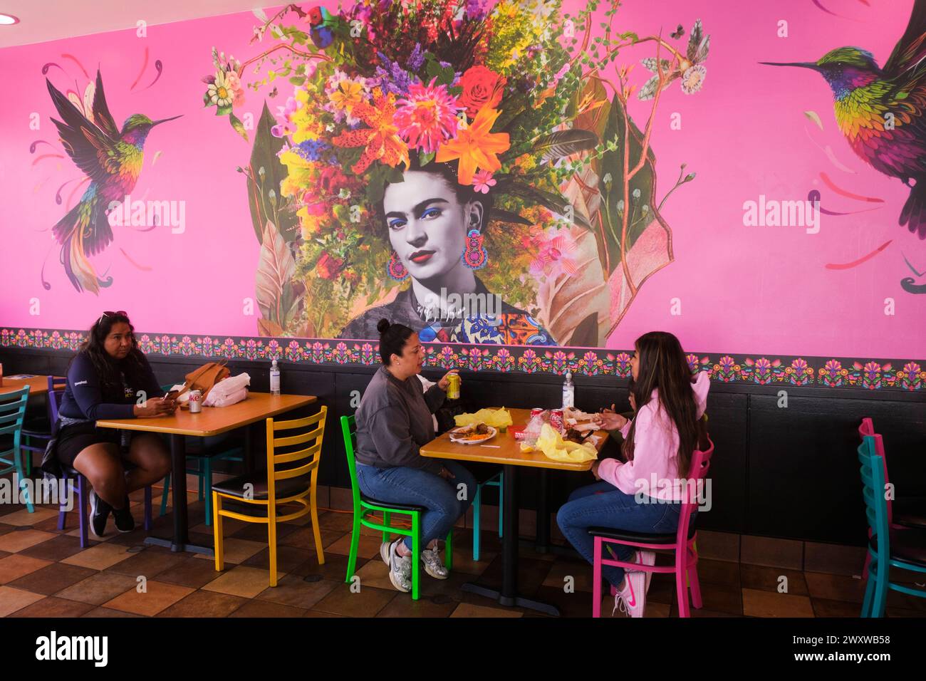 Free tour de Frida Kahlo por Coyoacán, Ciudad de México
