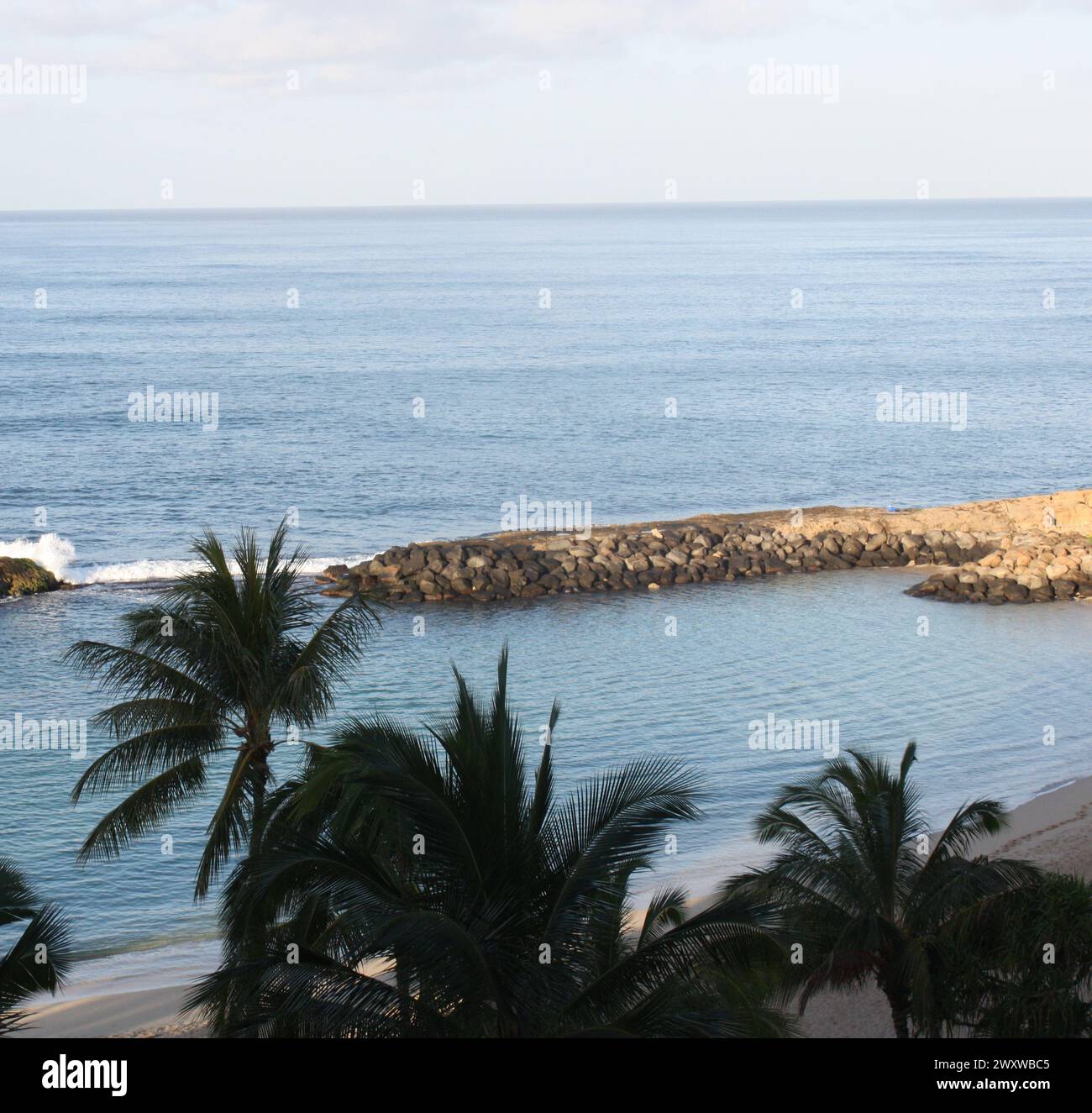 Rocky coast palm trees ocean hi-res stock photography and images - Alamy