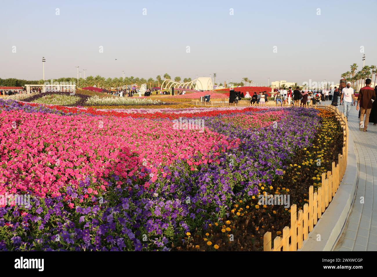 Yanbu, Madinah region, Saudi Arabia. 23 Mars 2019 - Flower festival ...