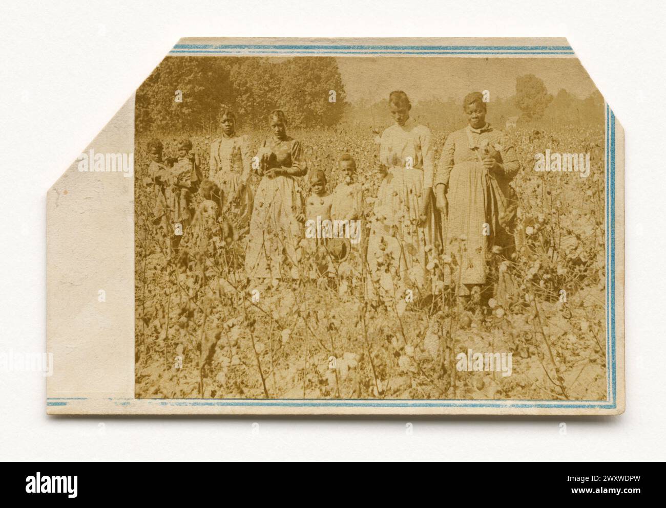 A carte-de-visite of women and children in a cotton field by J. H. Aylsworth.  Albumen print.  1860s. Stock Photo
