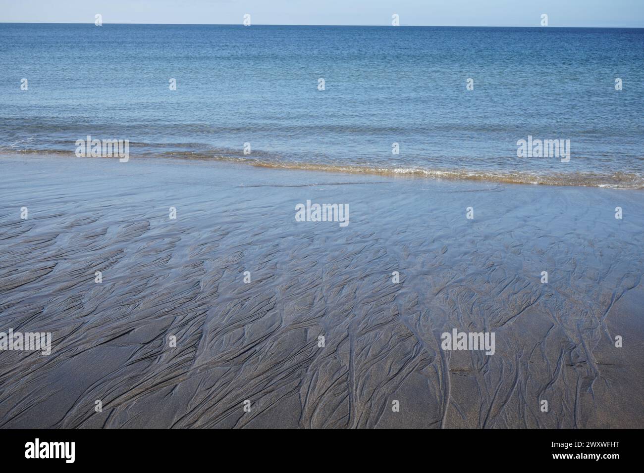 Sea weed patterns on the wet sand of Skarðsvík beach, Iceland with the waves of the Atlantic ocean in the background Stock Photo