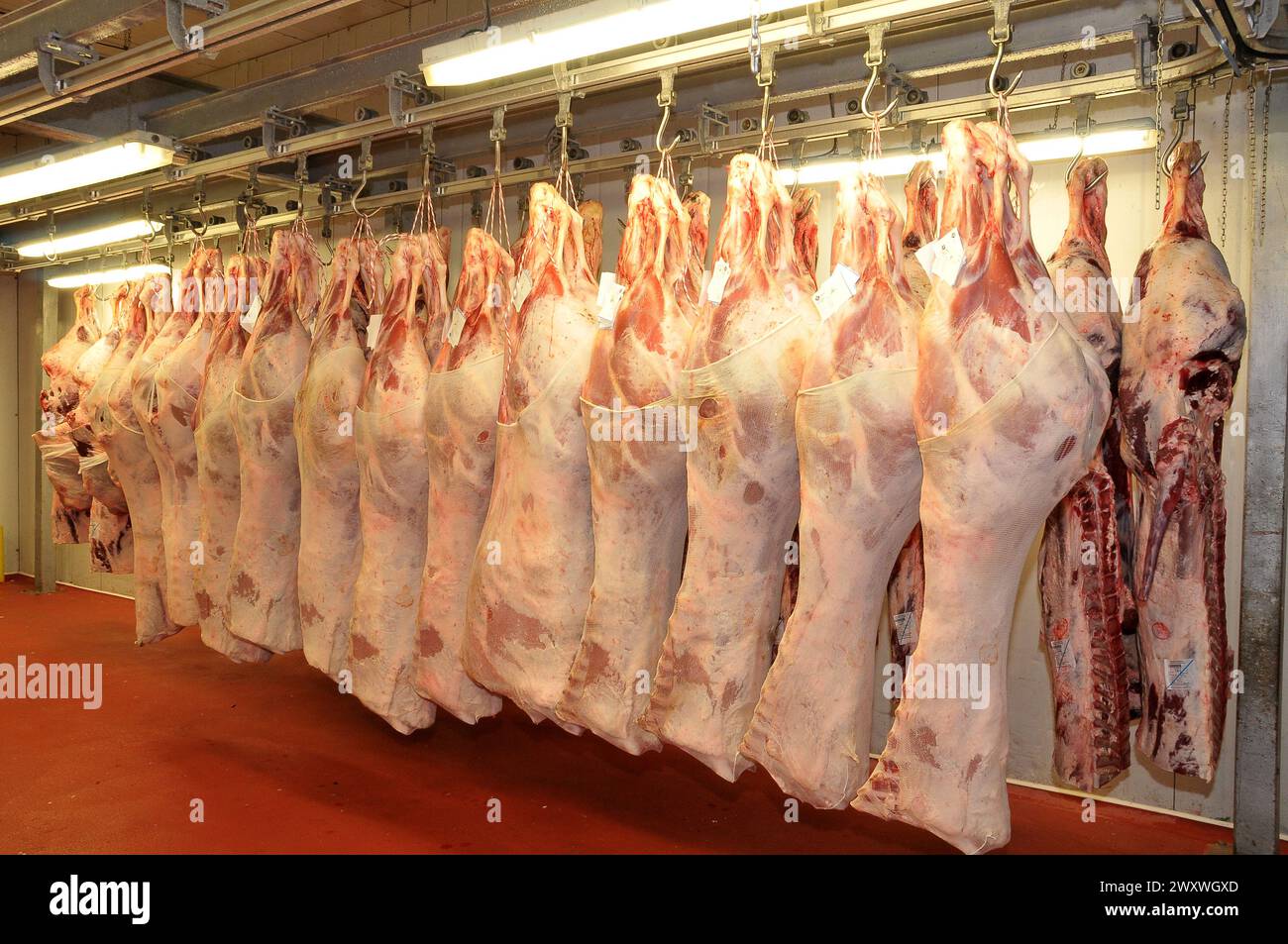 Pieces of meat inside a refrigerated warehouse Stock Photo