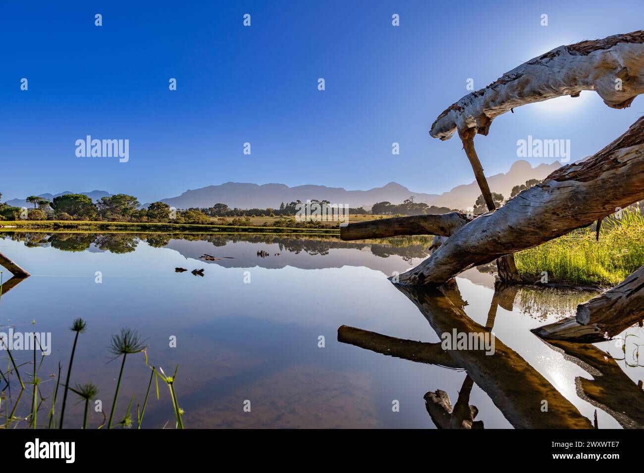 Tranquil rural scene with mountains in the background reflecting in the pond.  This is in the Stellenbosch wine region of South Africa. Stock Photo