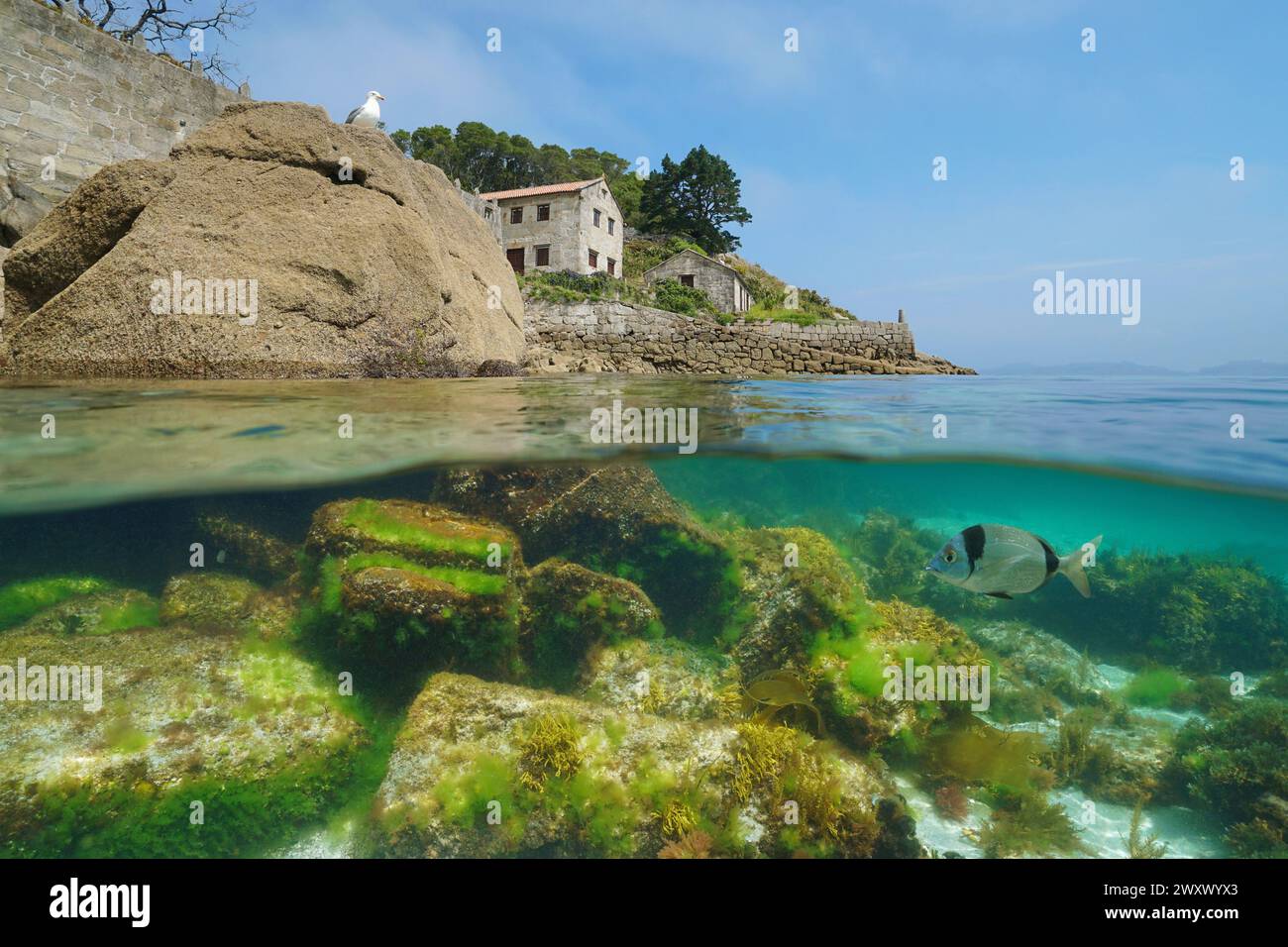 Atlantic coast in Spain with old house and rocks underwater in the ocean, split view half over and under water surface, natural scene,  Galicia, Rias Stock Photo