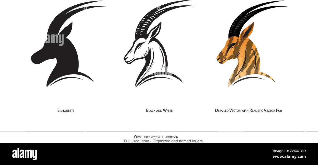 Oryx Face only vector illustration. Oryx Detailed vector illustration. Silhouette, black and white. Organized and named l Stock Vector