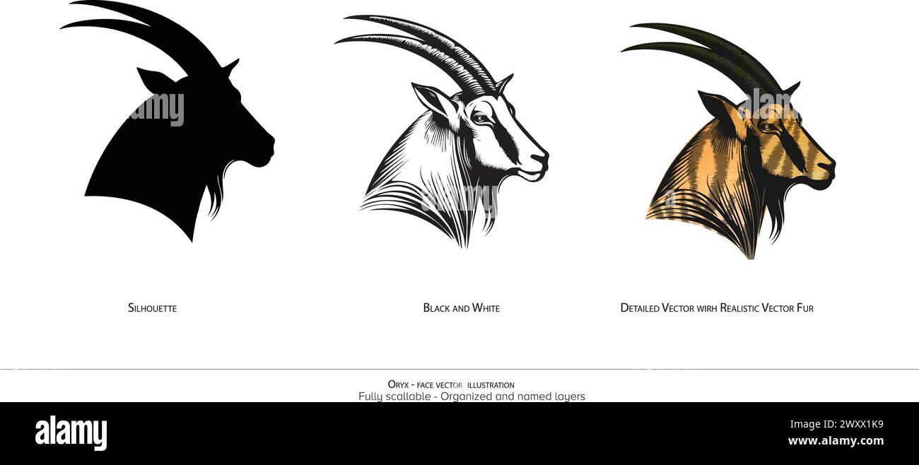 Oryx Face only vector illustration. Animal drawing. Oryx Detailed vector illustration. Silhouette, black and white. Organized and named layers Stock Vector