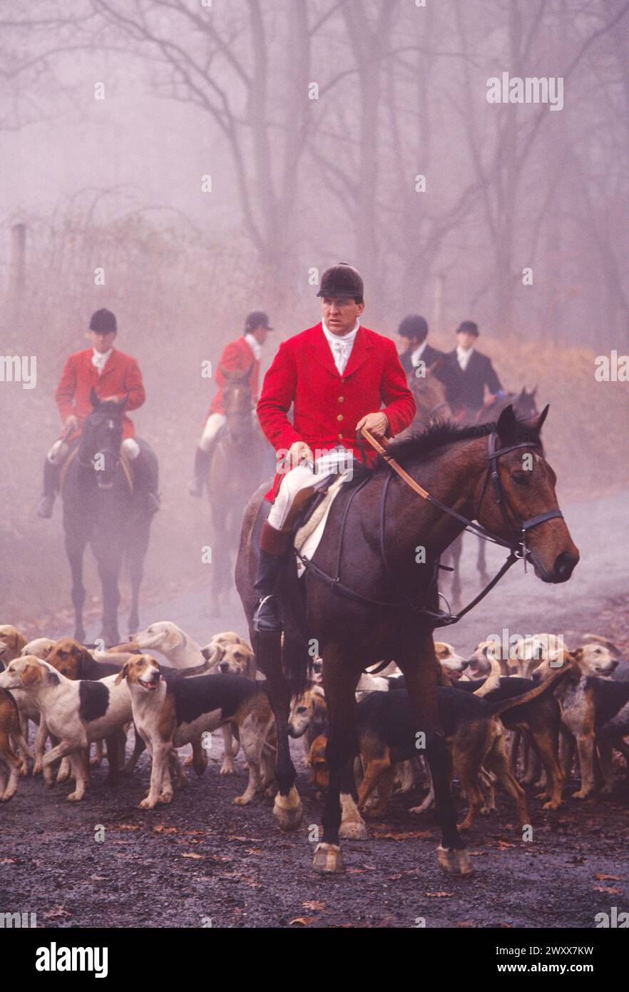 FOGGY MISTY VIEW OF FOX HUNTING ON HORSEBACK, CHESHIRE FOXHOUNDS