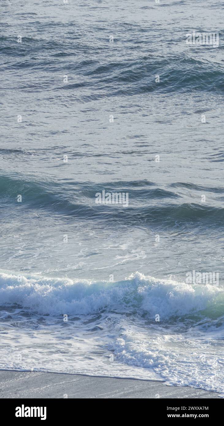 Tranquil beach, gentle waves, golden sunlight Stock Photo