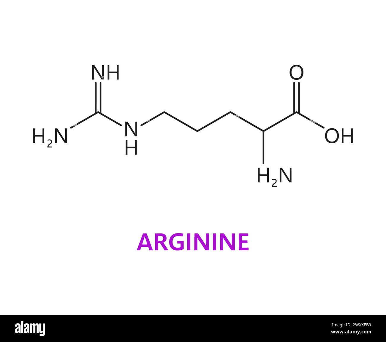 Arginine amino acid chemical molecule, essential chain structure ...