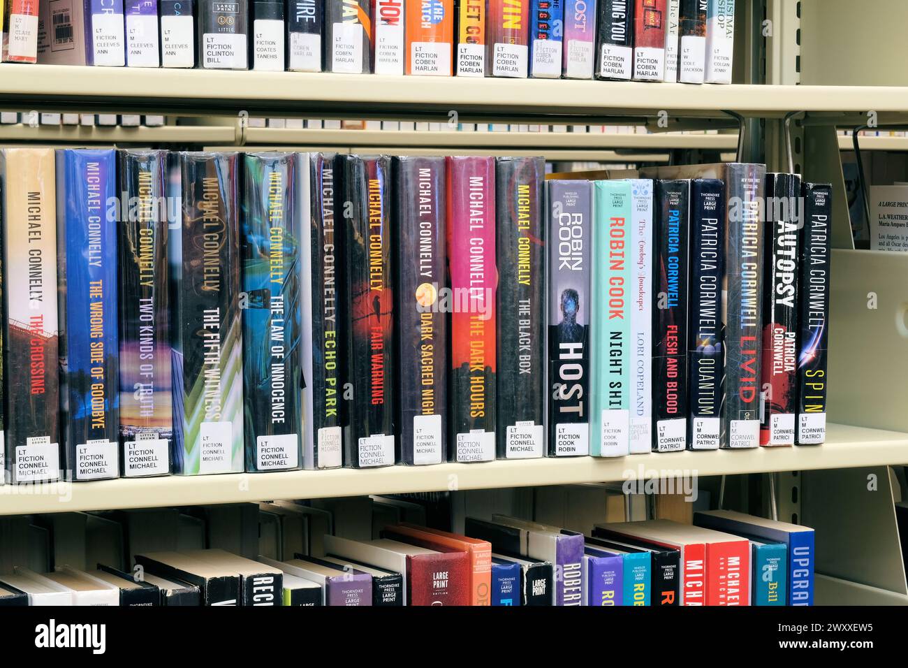 Library shelf with book titles by bestselling American authors Robin ...