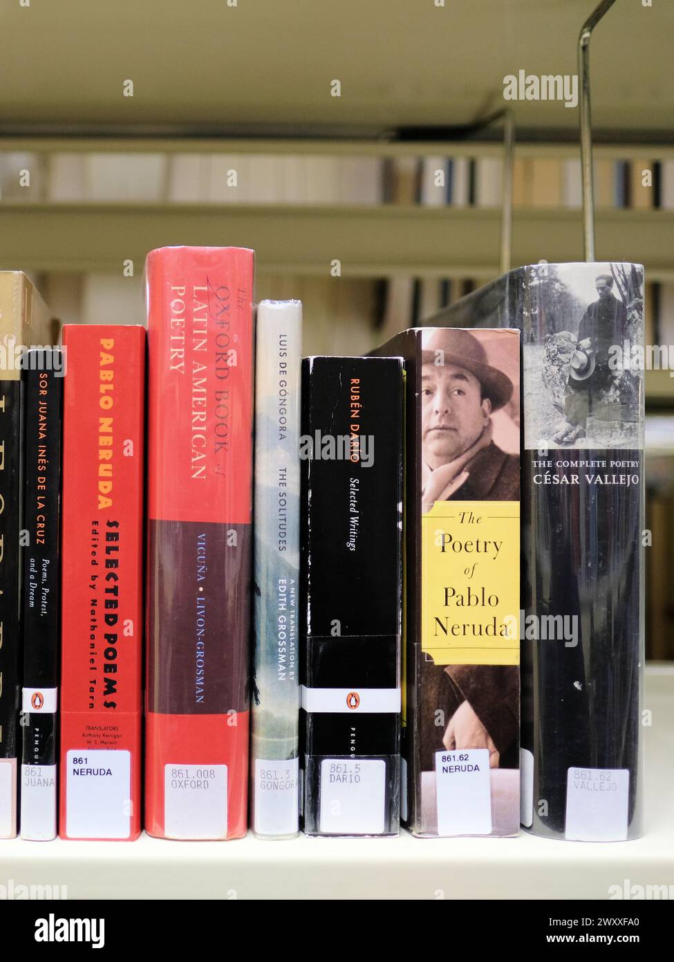 Library bookshelf with Latin American and Hispanic poetry books and anthologies; Oxford Book, Pablo Neruda, Cesar Vallejo, Ruben Dario, Sor Juana. Stock Photo