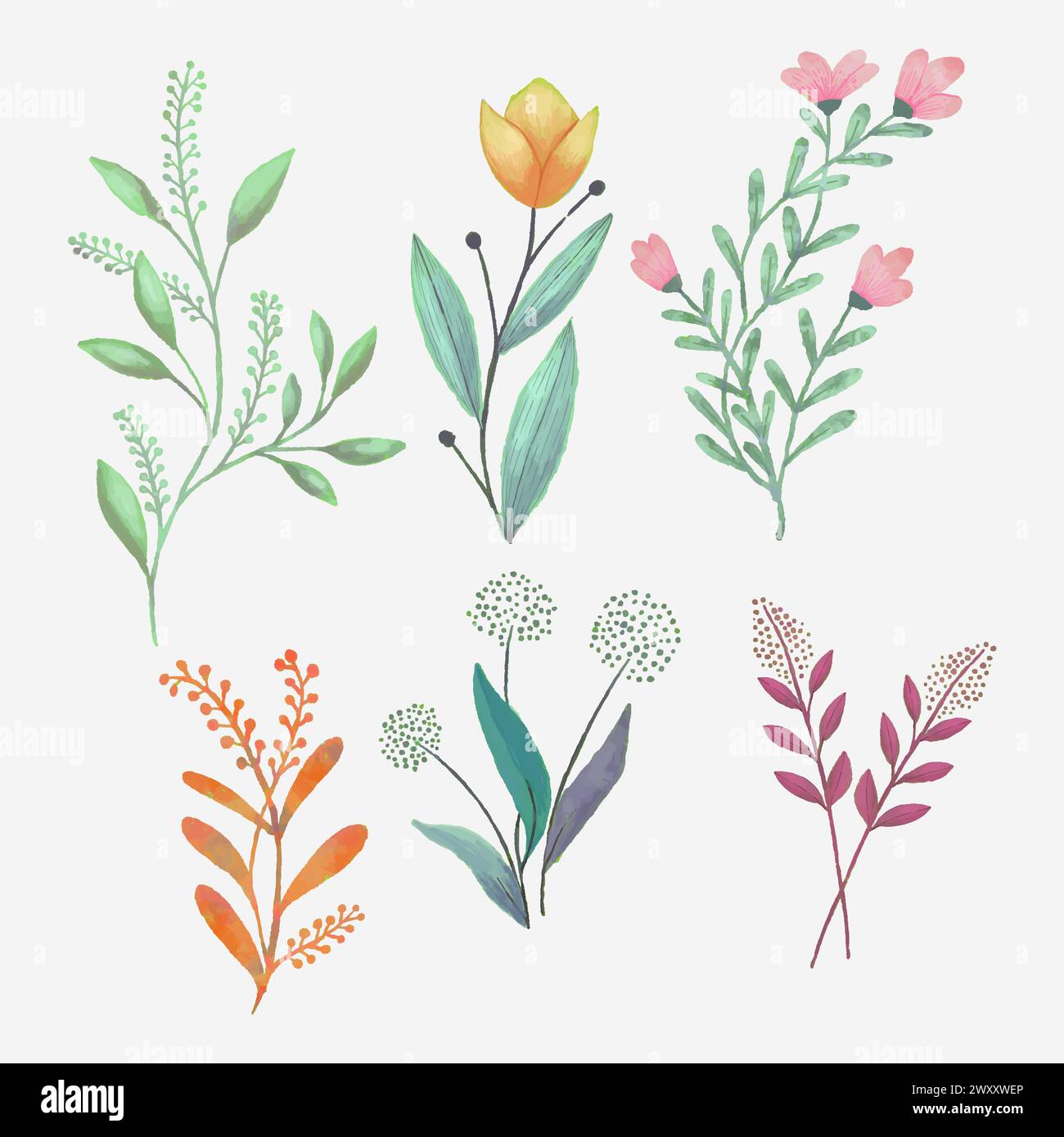 watercolor floral illustration vector design collection Stock Vector ...