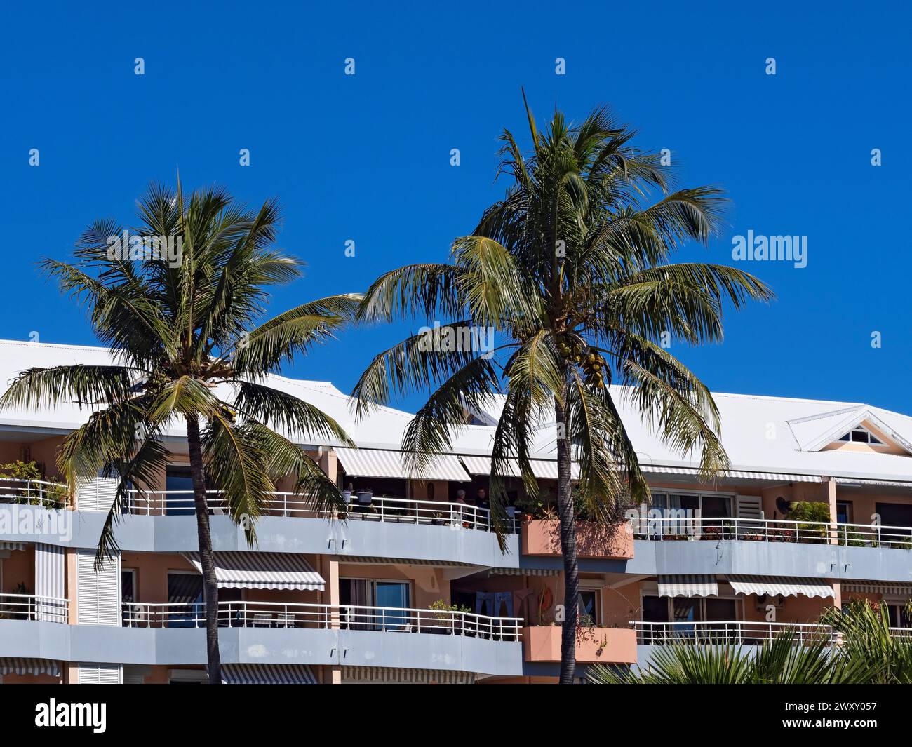 South Pacific Cruise / Modern Apartment Buildings in Noumea, New ...