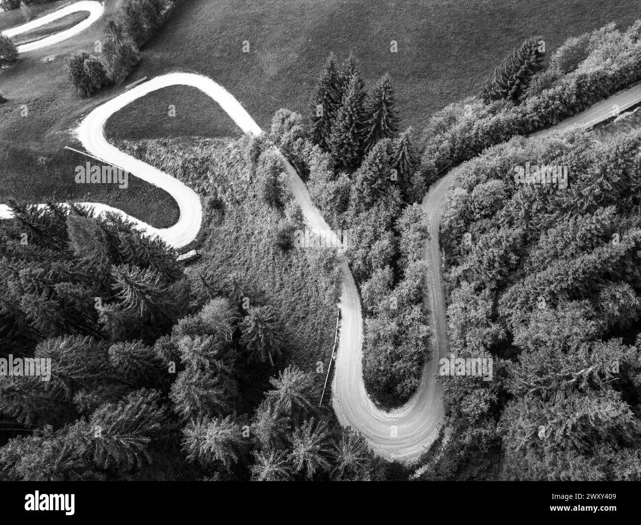 Curvy country road in the alpine mountain forest. Aerial view from