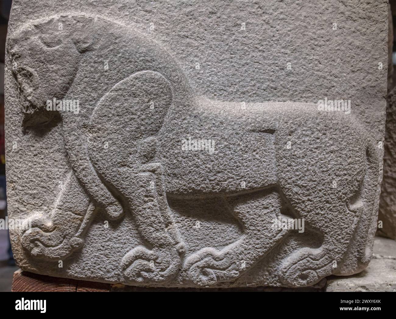 Relief with lion, 10th century BC, basalt, Museum of Anatolian Civilizations, Ankara, Turkey Stock Photo