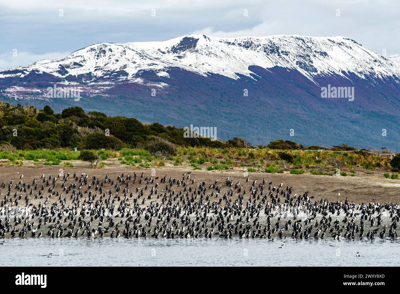 Sailing through the beagle channel at the southern tip of south