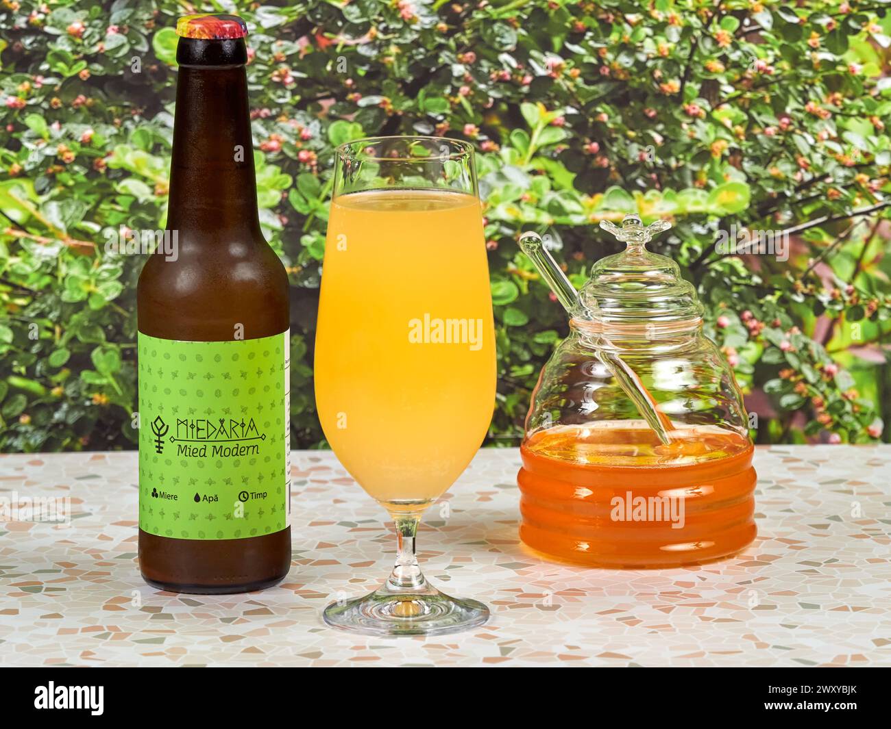 Bucharest, Romania - April 03, 2024: Miedaria IPM (India Pale Mead) is a beer-style mead made using just honey, hops, yeast, and water. It has a low a Stock Photo