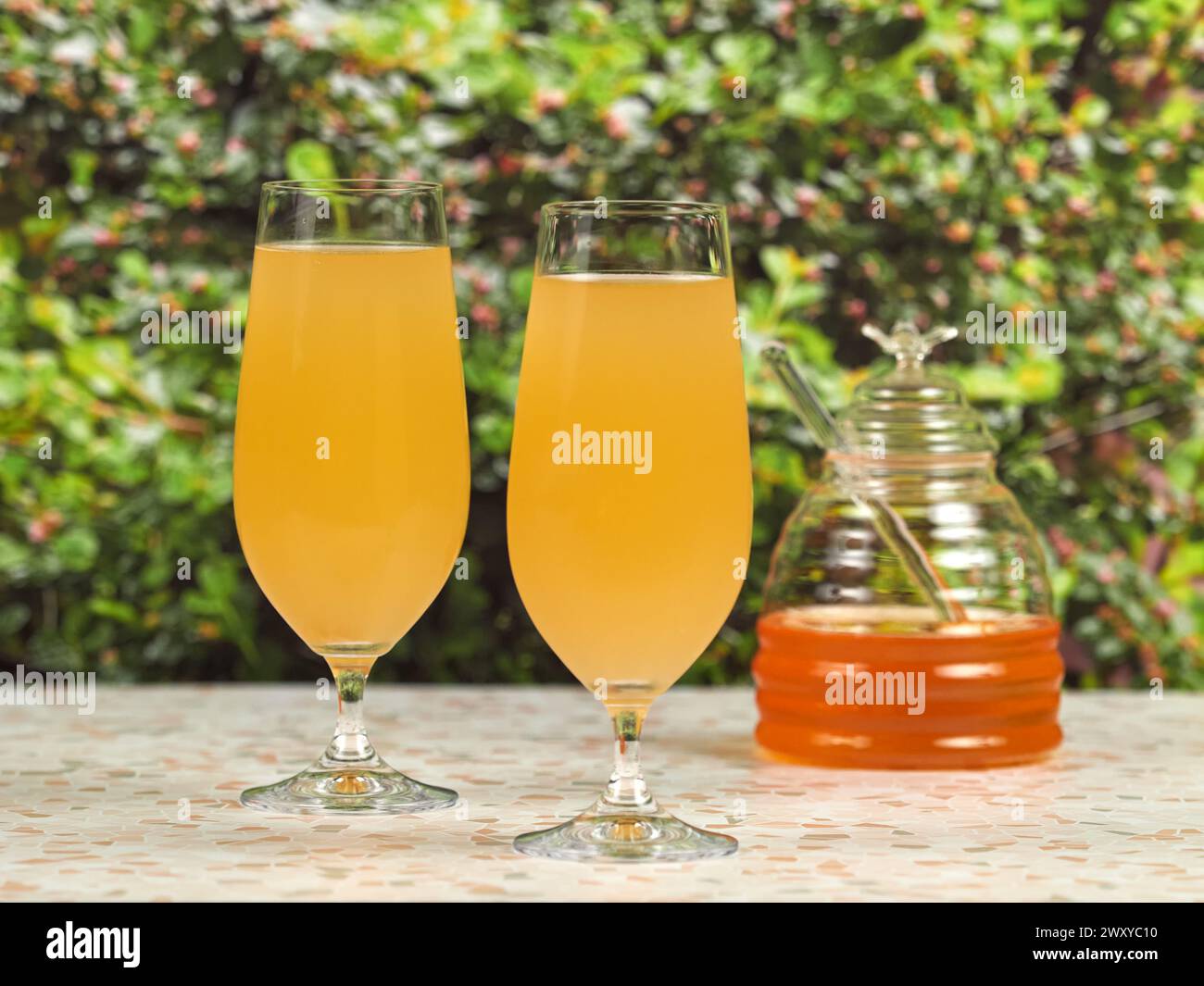 Mead IPM is a beer-style mead, made using honey, hops, yeast and water. It has a low alcohol content. Stock Photo