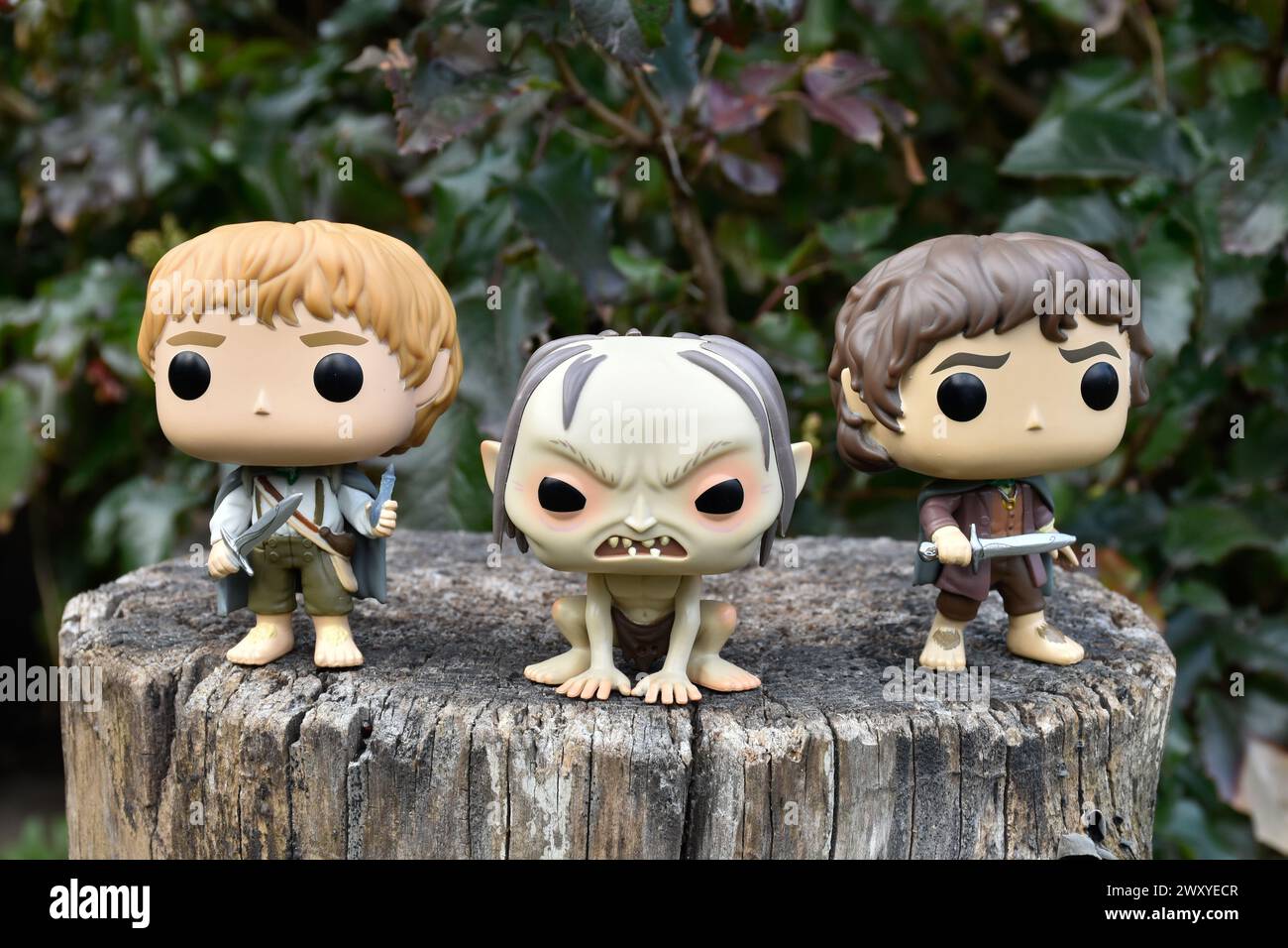 Funko Pop action figures of Sam, Gollum and Frodo from fantasy movie The Lord of the Rings. Dark forest, tree stump, green leaves. Stock Photo