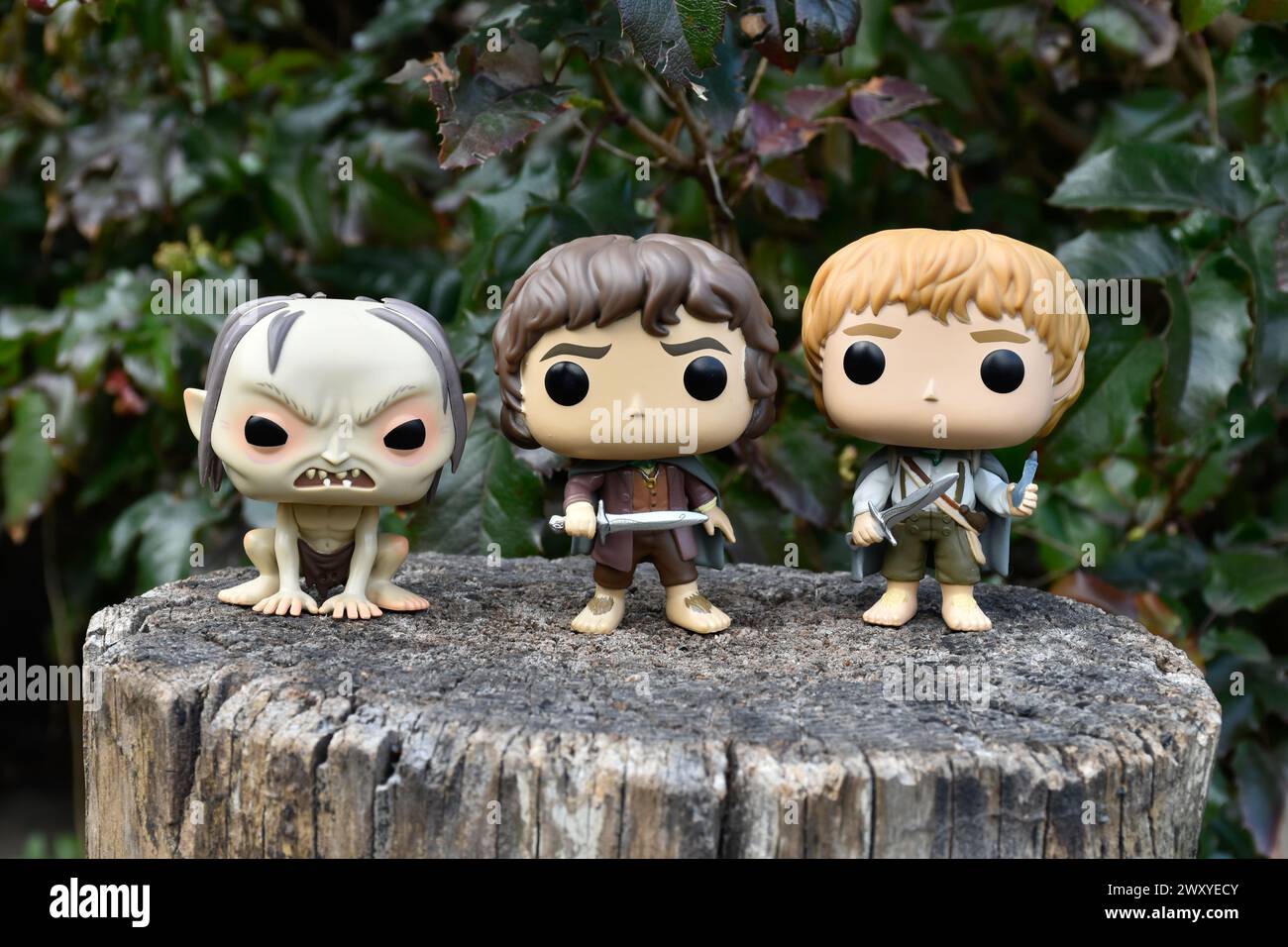 Funko Pop action figures of Gollum, Frodo and Sam hobbits from fantasy movie The Lord of the Rings. Dark forest, tree stump, green leaves. Stock Photo