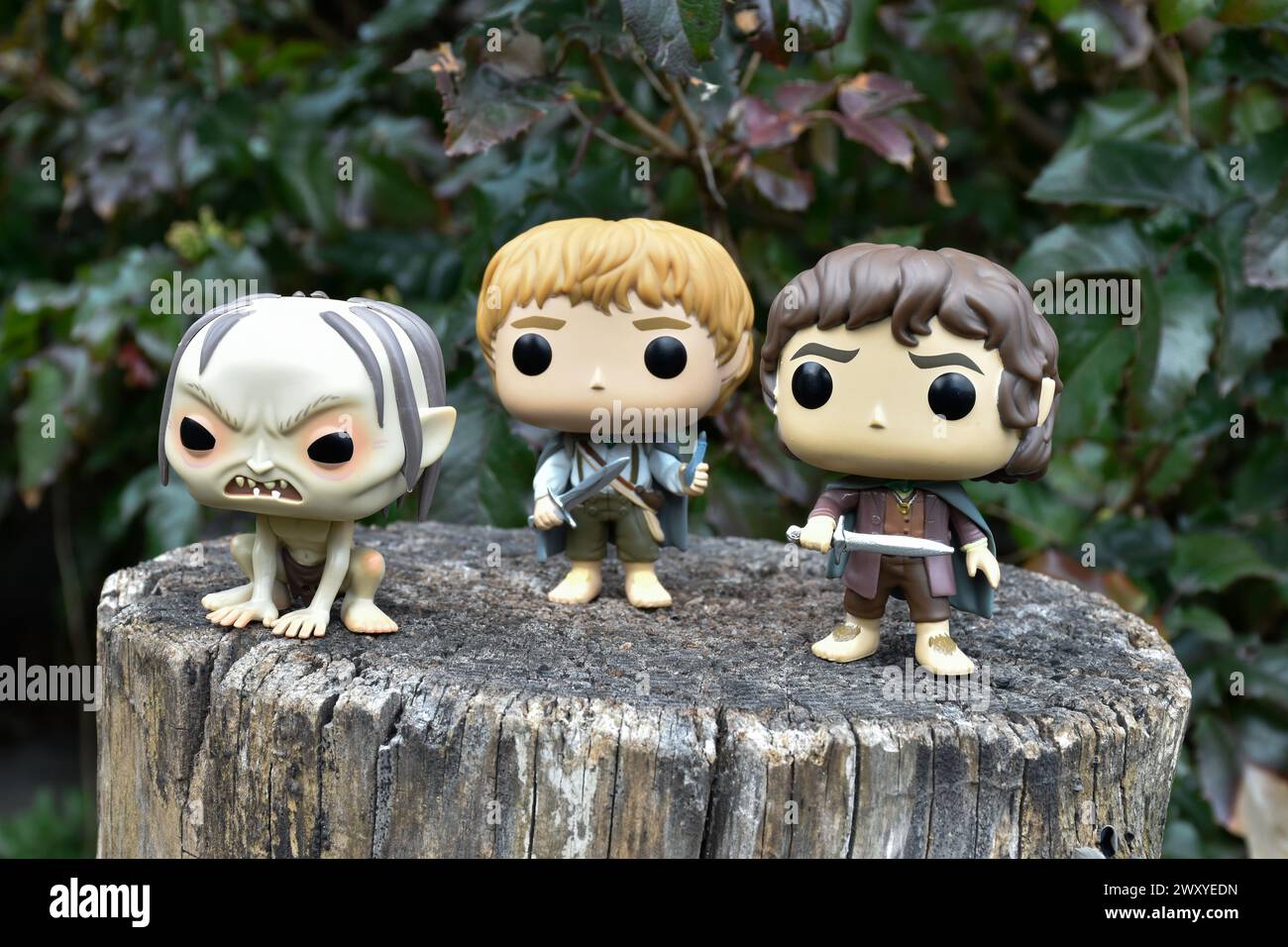 Funko Pop action figures of Gollum, Sam and Frodo hobbits from fantasy movie The Lord of the Rings. Dark forest, tree stump, green leaves. Stock Photo
