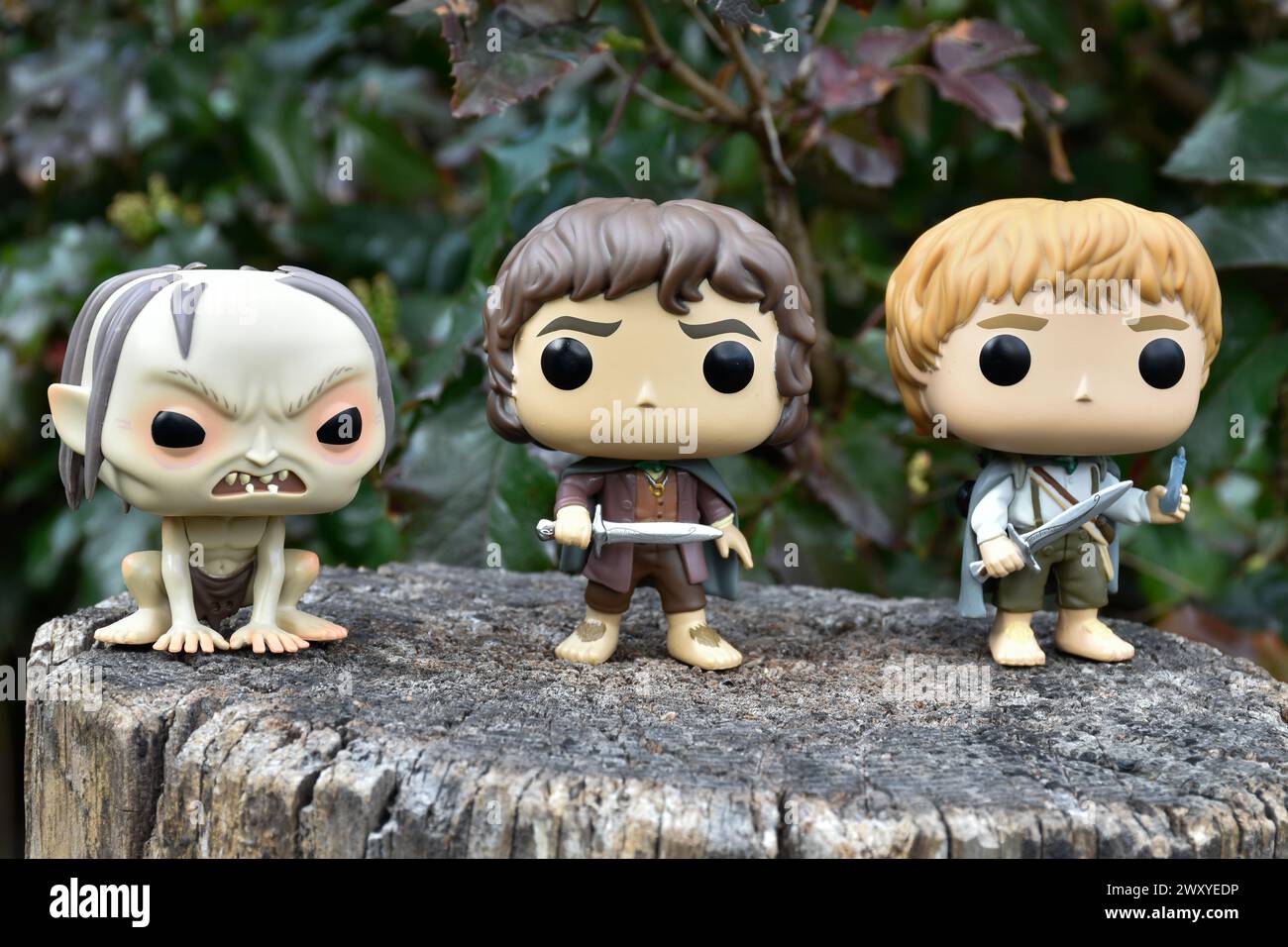 Funko Pop action figures of Gollum, Frodo and Sam hobbits from fantasy movie The Lord of the Rings. Dark forest, tree stump, green leaves. Stock Photo