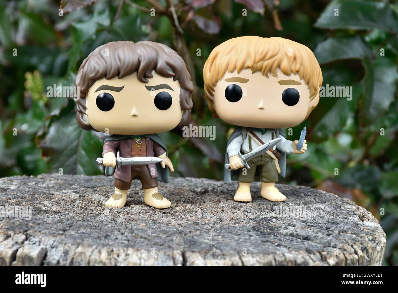 Funko Pop action figures of hobbits Frodo and Sam from fantasy movie The Lord of the Rings. Dark forest, tree stump, green leaves. Stock Photo
