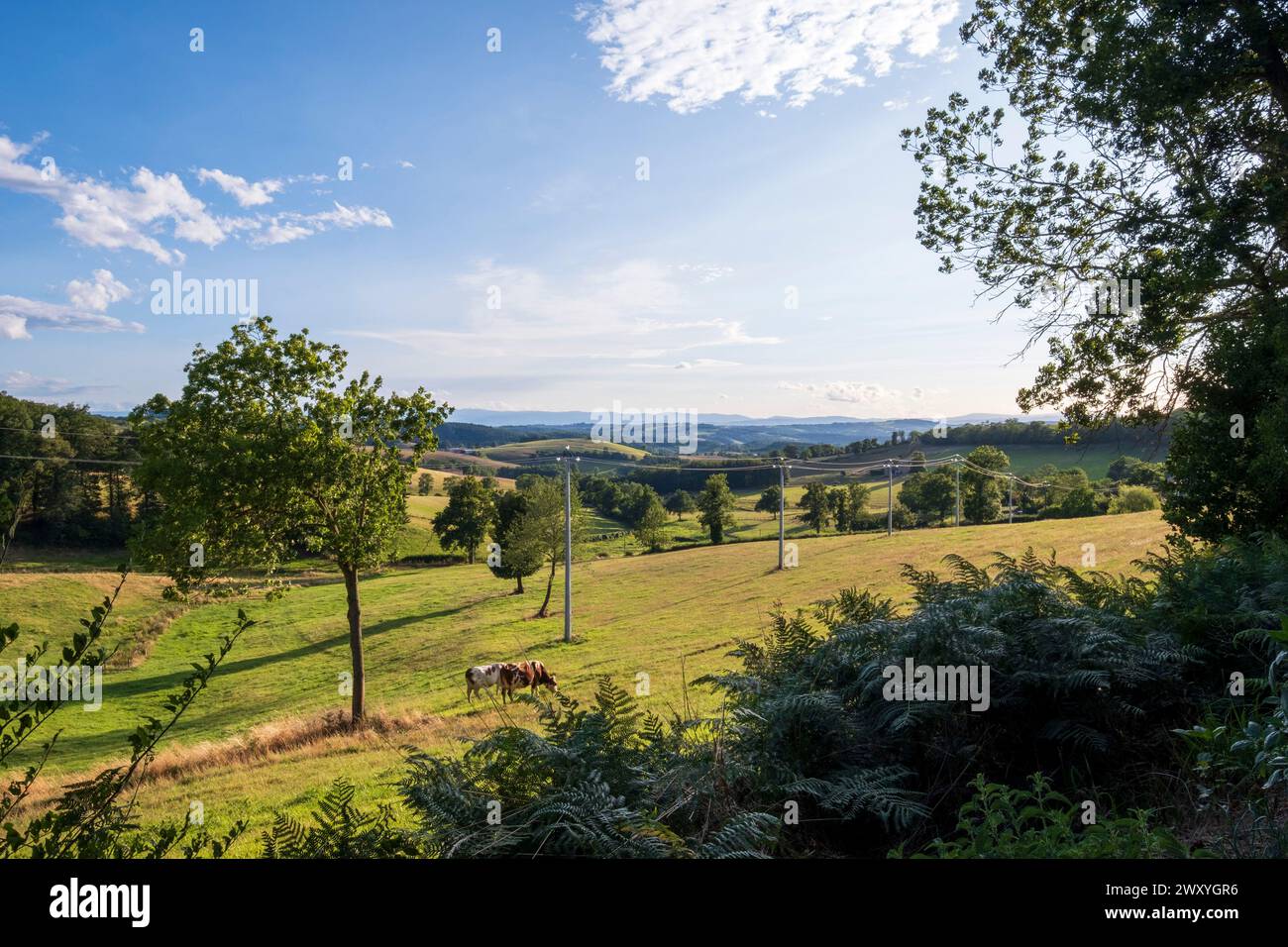 Machezal (central-eastern France): view of the countryside and Fourneaux from the hamlet of Les Champs, with the hilly landscape of the “monts du Roan Stock Photo