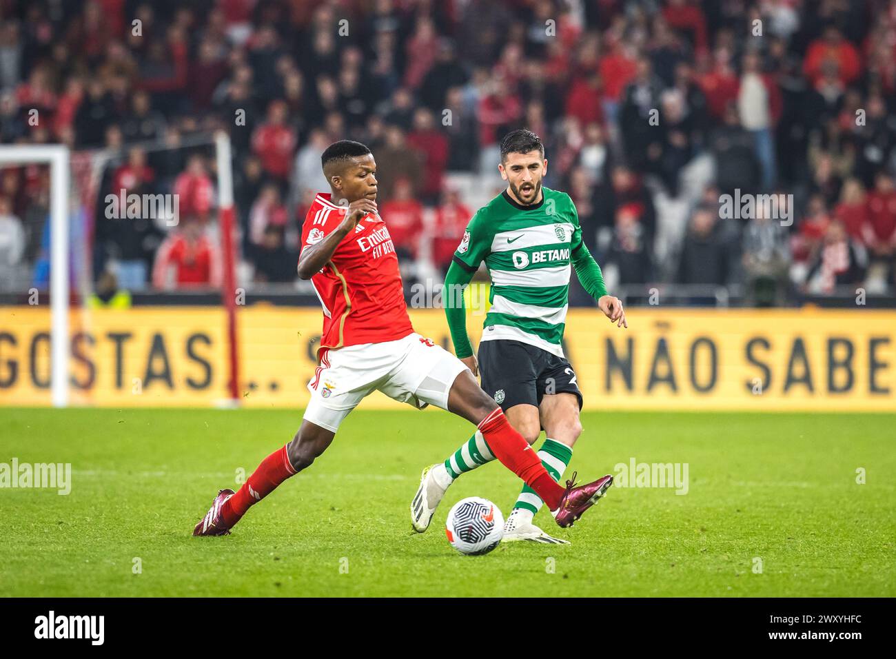 Lisbon, Portugal. 02nd Apr, 2024. Florentino Luis of SL Benfica (R) with Paulinho of Sporting CP (L) in action during the Portuguese Cup Semi Final 2nd Leg match between SL Benfica and Sporting CP at Estadio da Luz. (Final score: SL Benfica 2 - 2 Sporting CP) Credit: SOPA Images Limited/Alamy Live News Stock Photo